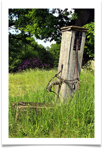 21_The pump at Arley print - Anne Tidswell
